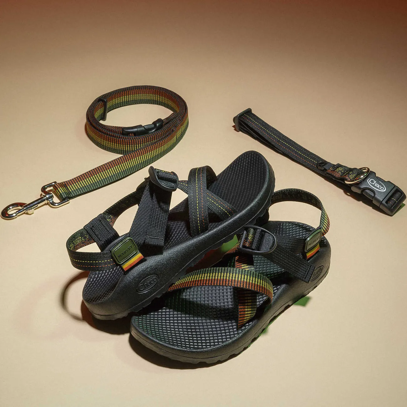 Dog Collars & Leashes|Dog Collars & Leashes|Chaco x Bob Marley Dog Leash Harmony Hues