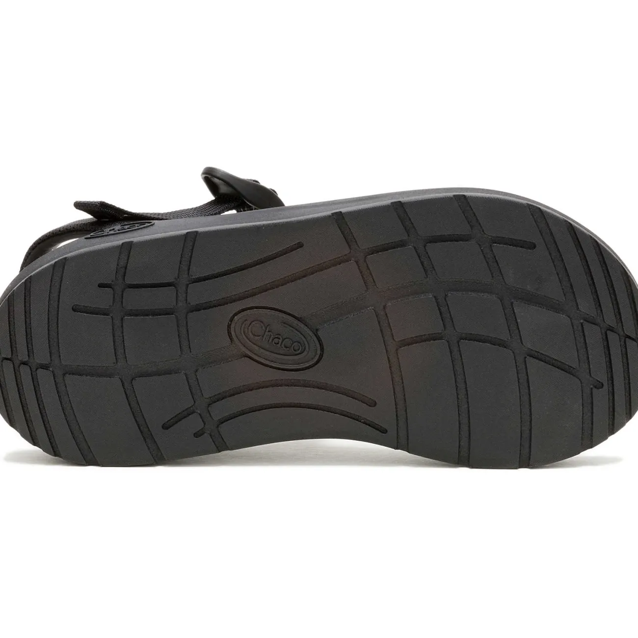 Z/ Adjustable Sandals|Sandals|Chaco Men's CushZ Toe-Loop Extra Cushioned Sandal Frond Black