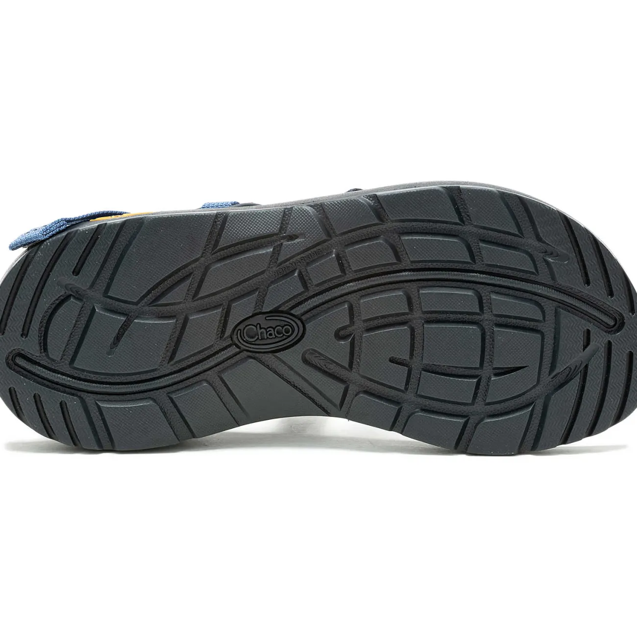 Z/ Adjustable Sandals|Chaco Women's Z/1 Adjustable Strap Classic Sandal Bloop Navy Spice